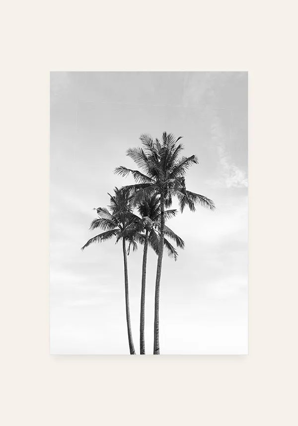 Quadro Coqueiros Preto e Branco