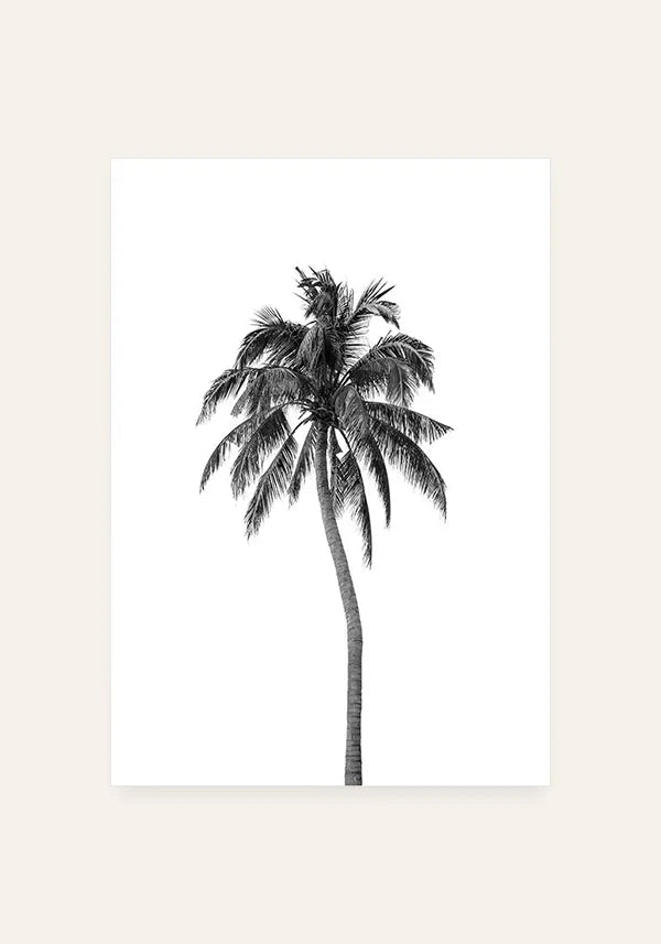 Quadro Coqueiro Preto e Branco