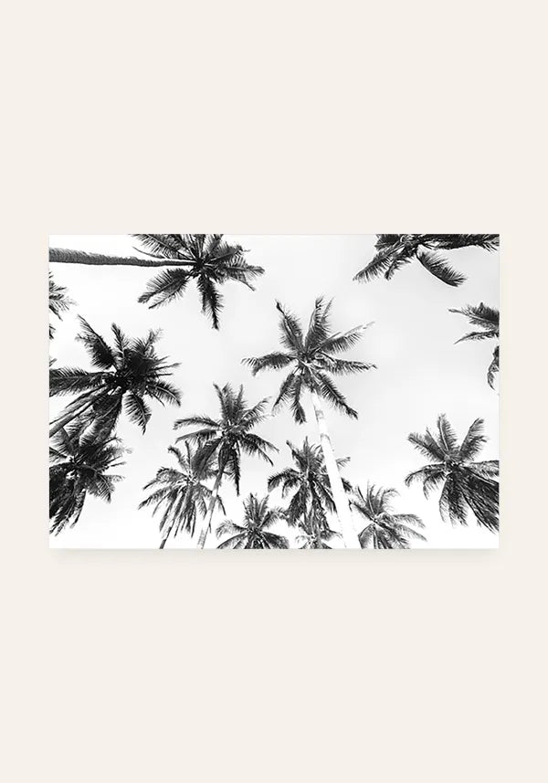 Quadro Coqueiros Fotografia em Preto e Branco Horizontal