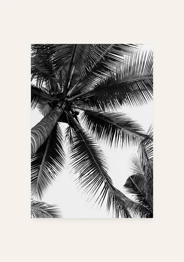 Quadro Decorativo Coqueiro Preto e Branco