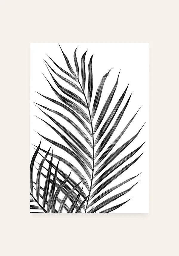 Quadro Folha de Palmeira Desenho Preto e Branco