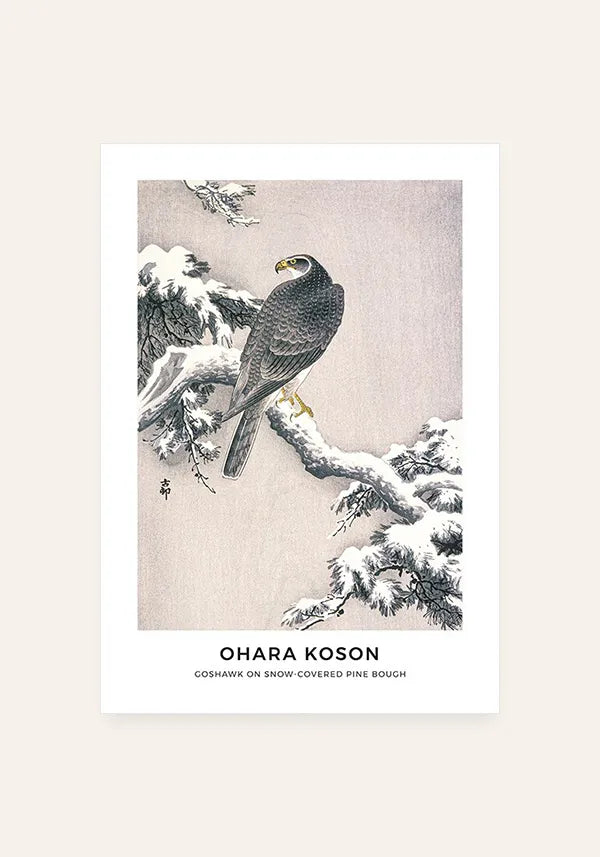 Quadro Ohara Koson Goshawk on Snow-Covered Pine Bough