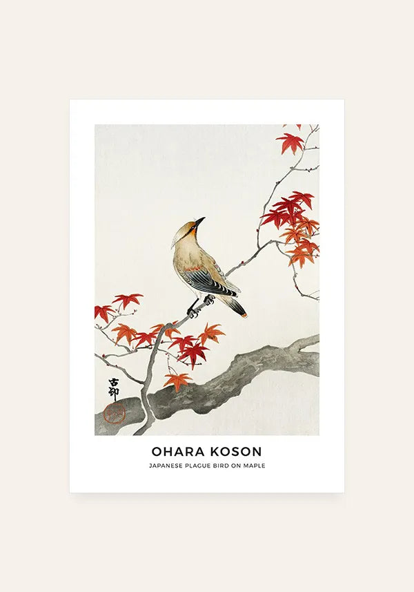 Quadro Ohara Koson Japanese Plague Bird on Maple
