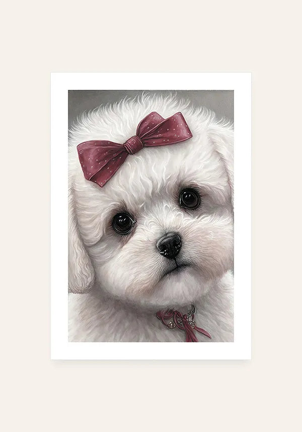 Quadro Bichon Frise Filhote