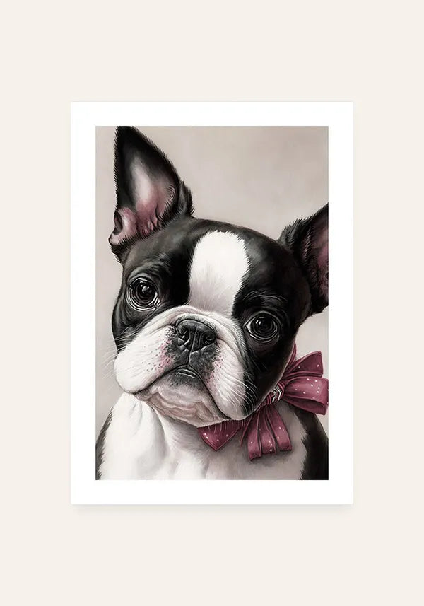 Quadro Boston Terrier Filhote