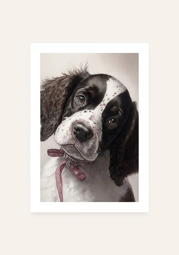 Quadro Springer Spaniel Inglês Filhote