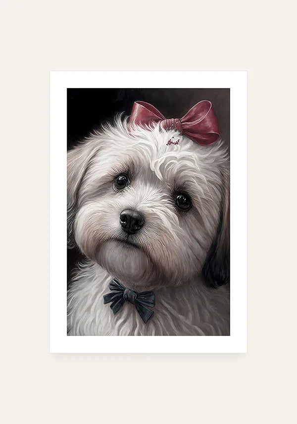 Quadro Bichon Havanês Filhote
