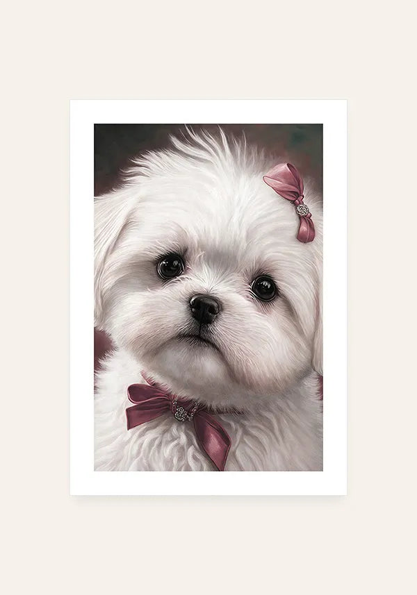Quadro Maltês Filhote