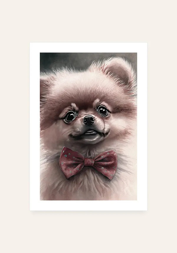 Quadro Spitz Alemão Filhote