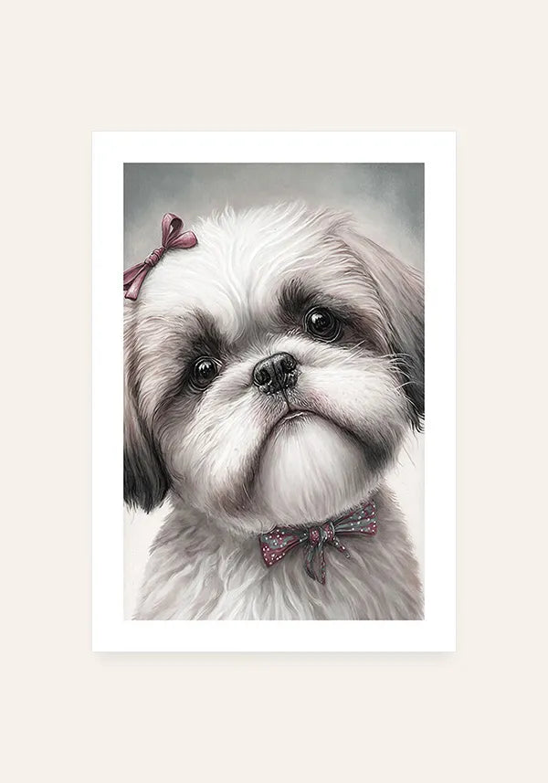 Quadro Shih Tzu Filhote