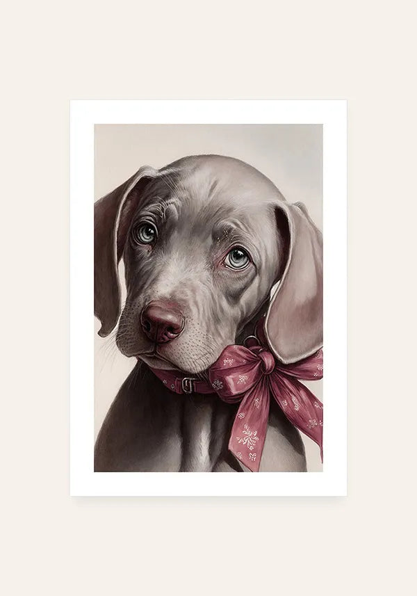 Quadro Weimaraner Filhote