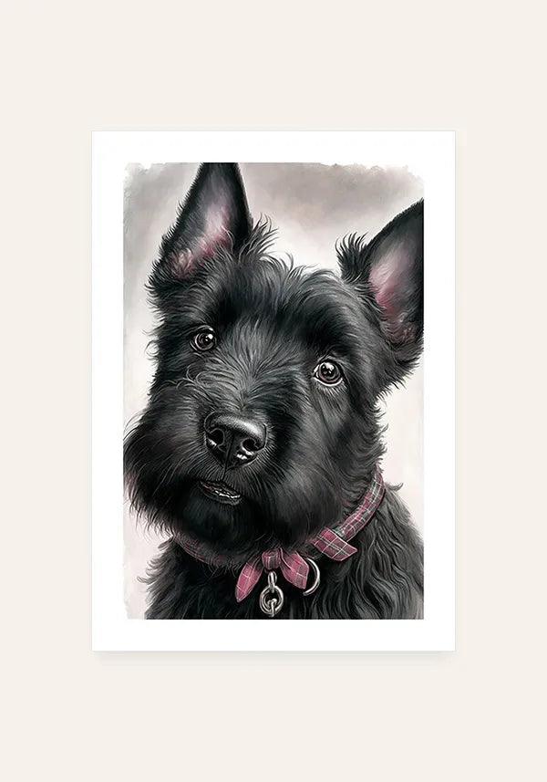 Quadro Scottish Terrier Filhote