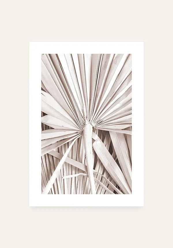 Quadro Folhas de Palmeira II com Borda