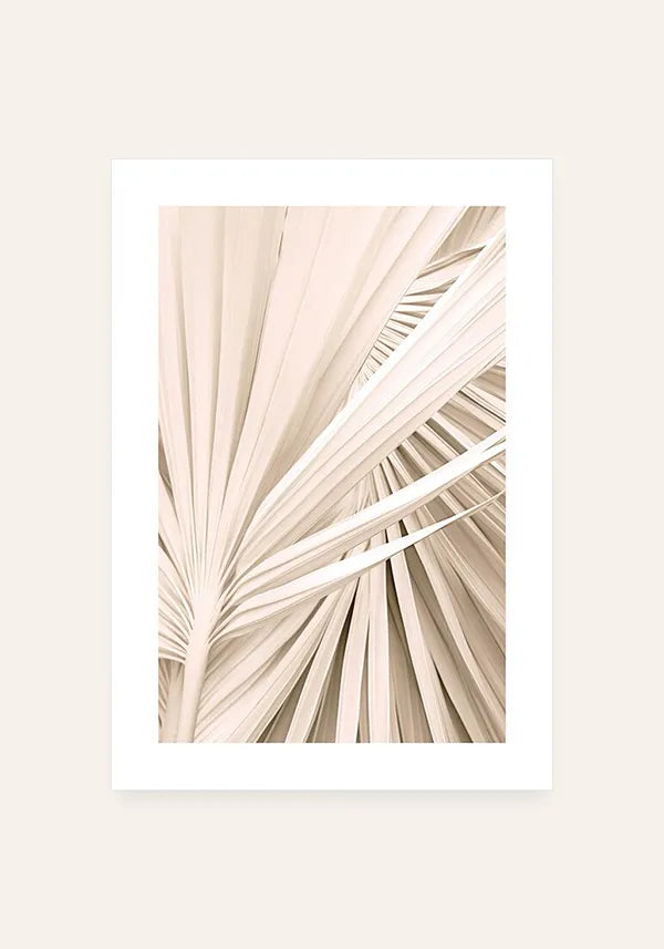 Quadro Folha de Palmeira Bege Close III com Borda