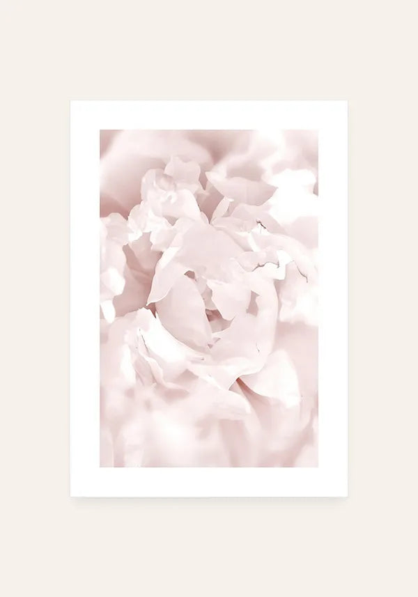 Quadro Rosas Florecendo com Borda
