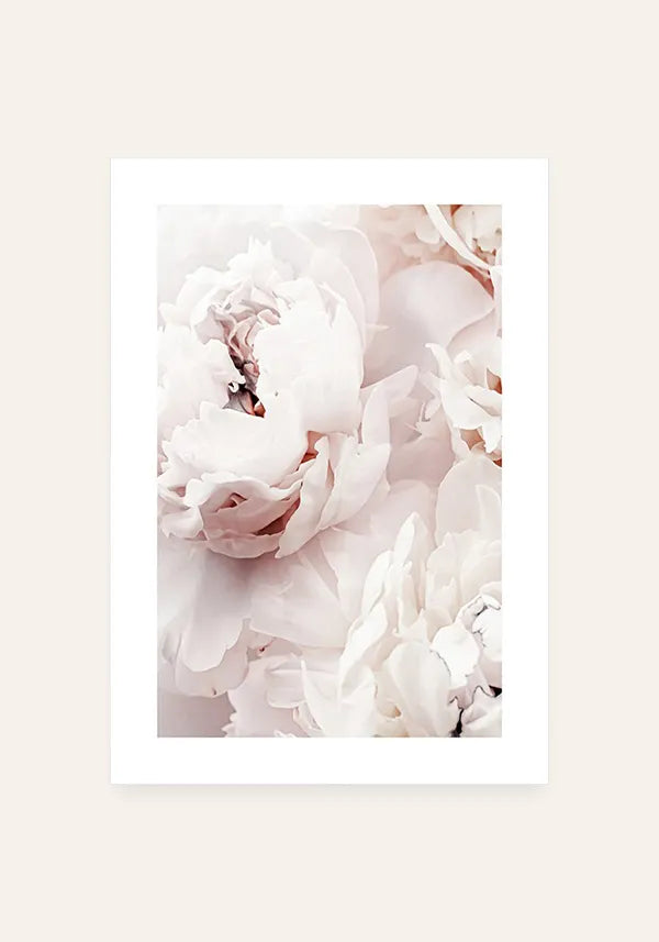 Quadro Rosa Delicada com Borda