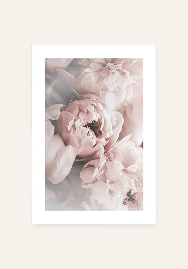 Quadro Flores de Peônia com Borda