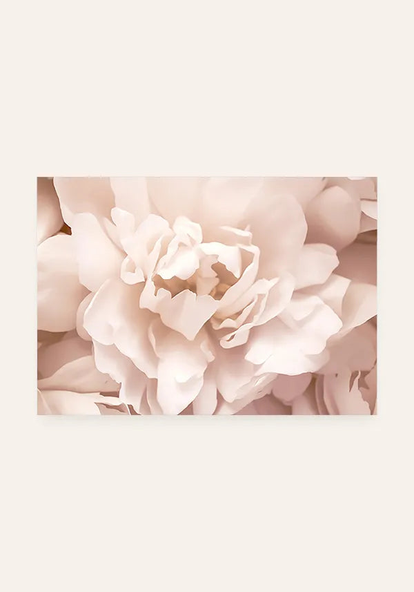 Quadro Rosa Florescendo Horizontal