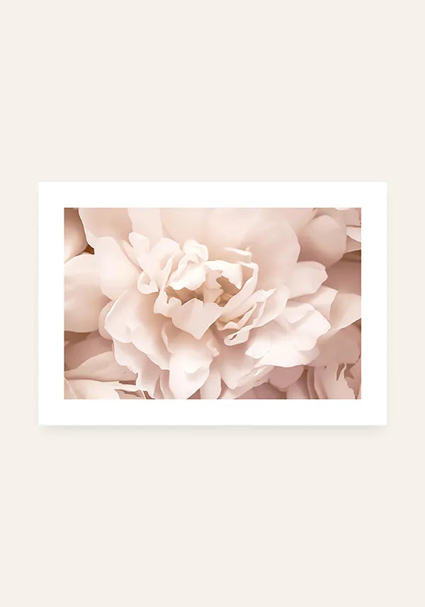 Quadro Rosa Florescendo Horizontal com Borda