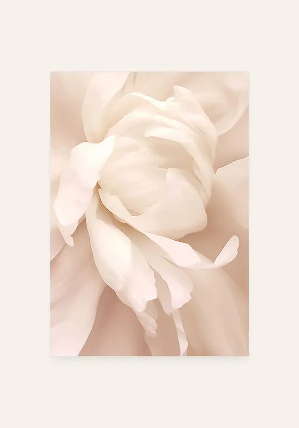 Quadro Flor Rosa I