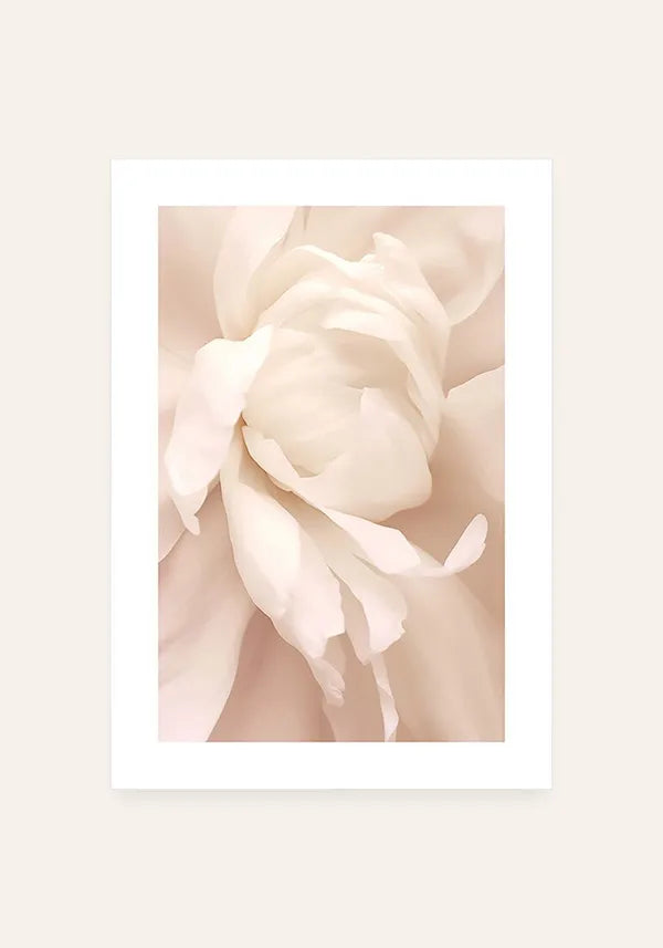 Quadro Flor Rosa I com Borda