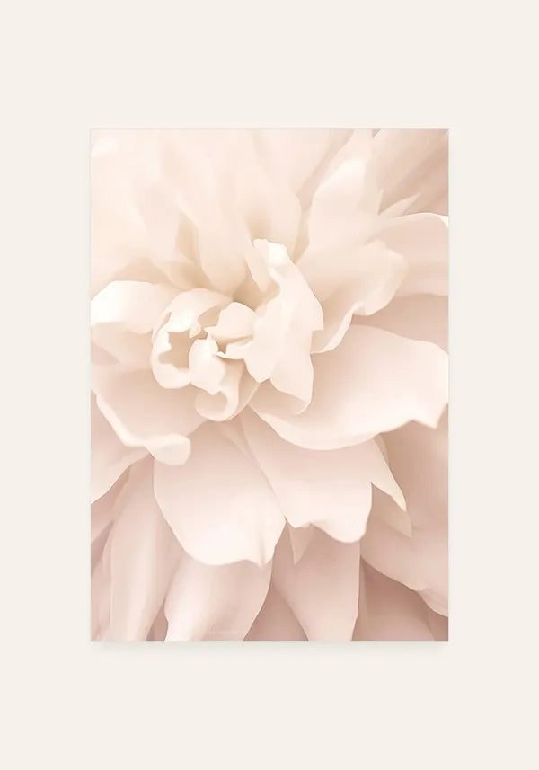 Quadro Flor Rosa II - LR01030