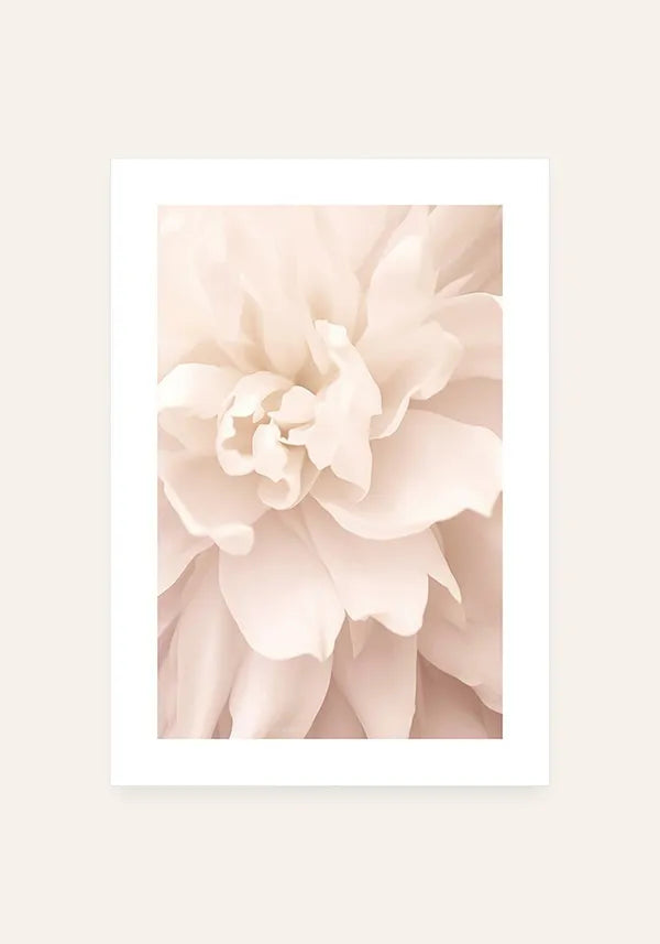 Quadro Flor Rosa II com Borda
