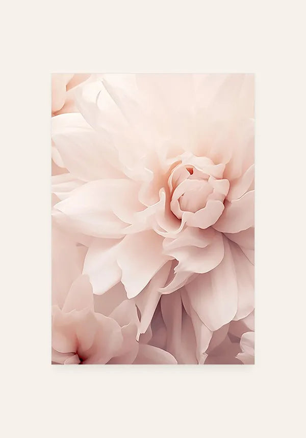Quadro Flor Rosa Close-up I