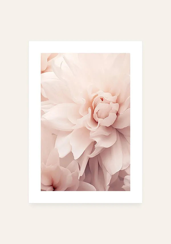 Quadro Flor Rosa Close-up I com Borda