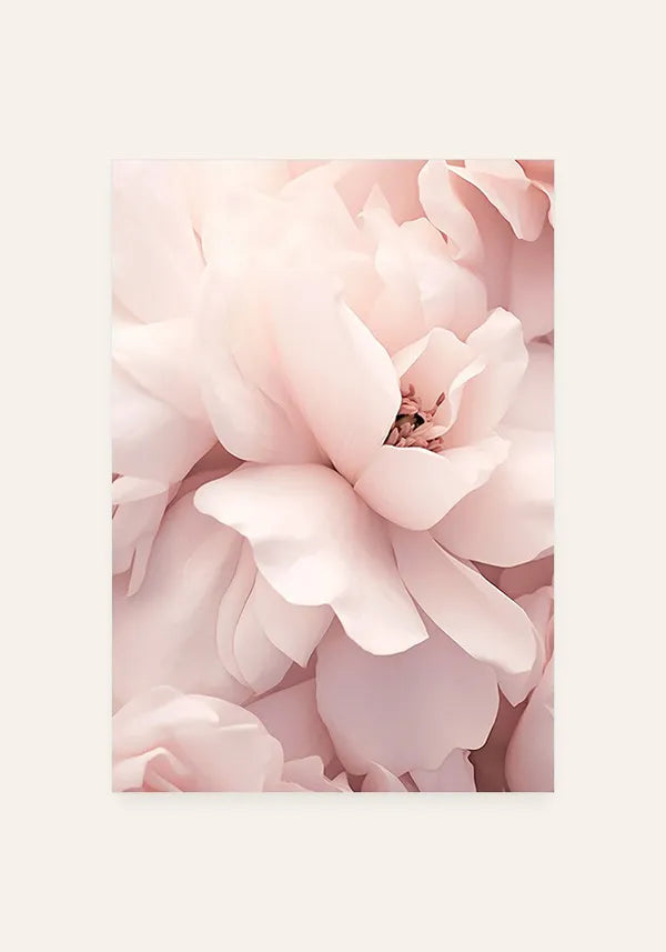 Quadro Flor Rosa Close-up II