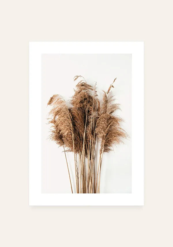 Quadro Capim dos Pampas Desidratado com Borda