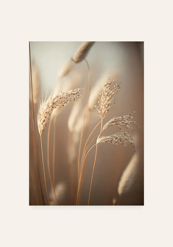 Quadro Decorativo Juncos I