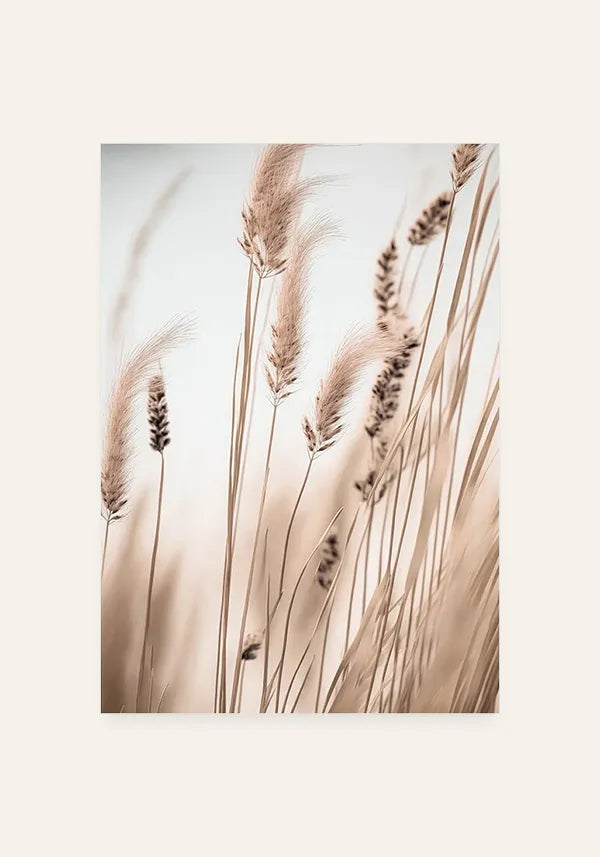 Quadro Juncos Secos I