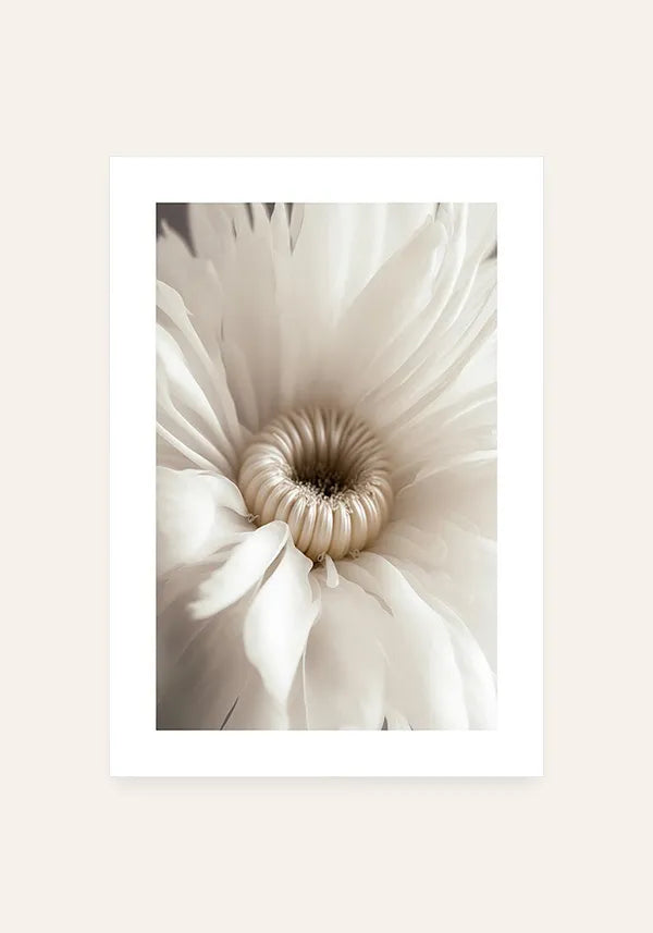 Quadro Flor Branca Close-up com Borda