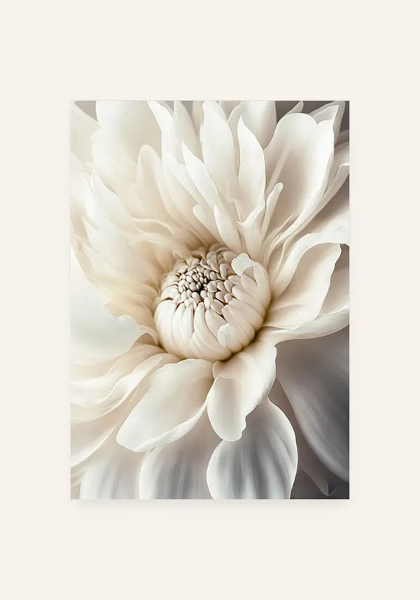 Quadro Flor Branca Florescendo