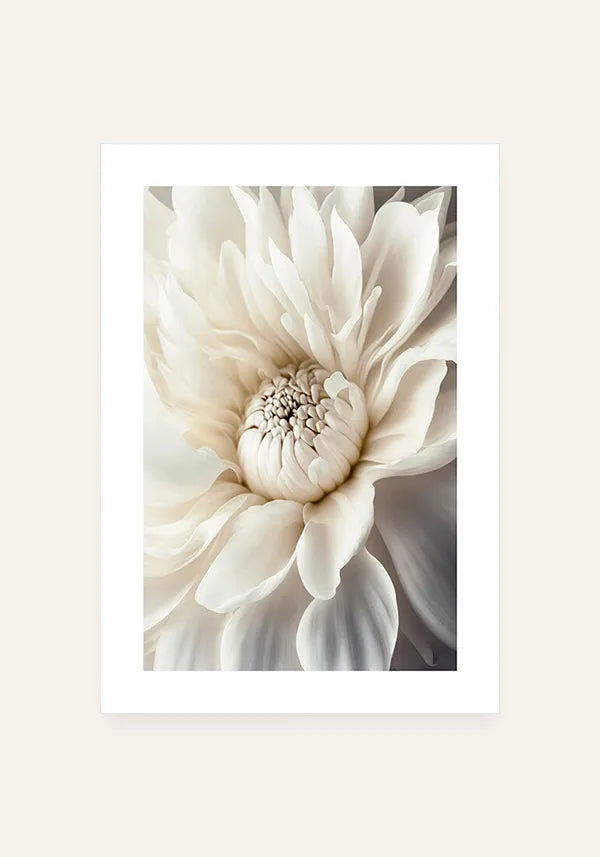 Quadro Flor Branca Florescendo com Borda
