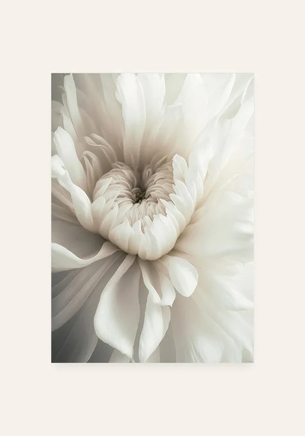 Quadro Flor Branca Delicada I