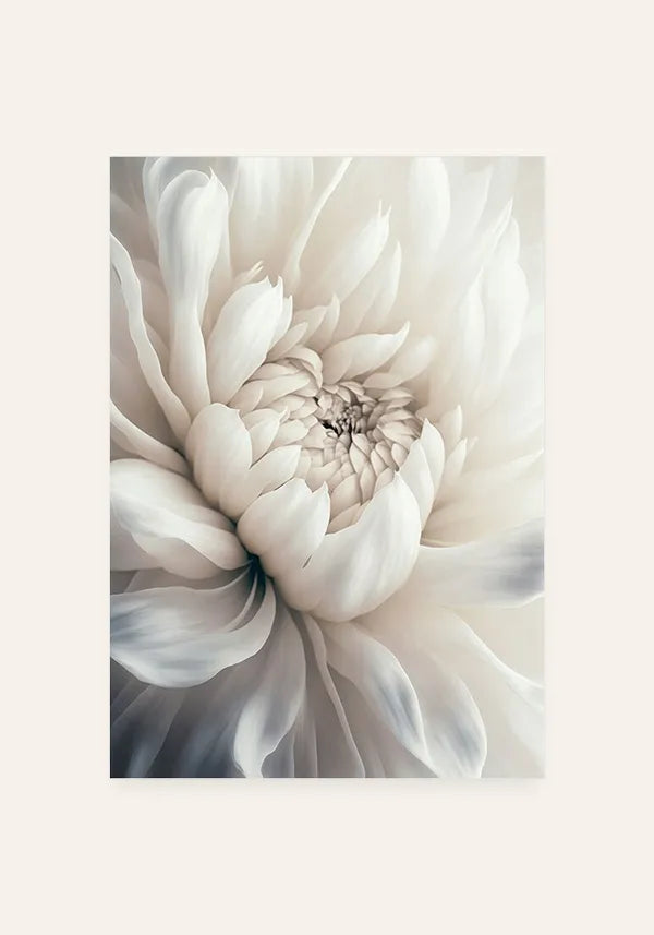 Quadro Flor Branca Delicada II