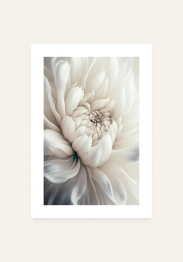 Quadro Flor Branca Delicada II com Borda