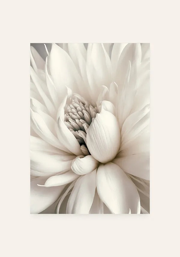 Quadro Decorativo Flor Branca I
