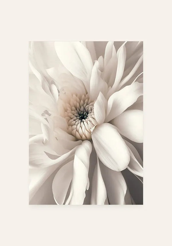 Quadro Decorativo Flor Branca II