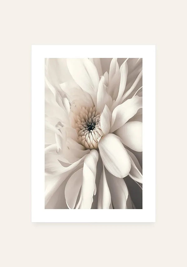 Quadro Decorativo Flor Branca II com Borda