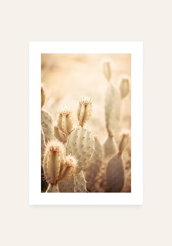 Quadro Decorativo Cactos Vintage com Borda