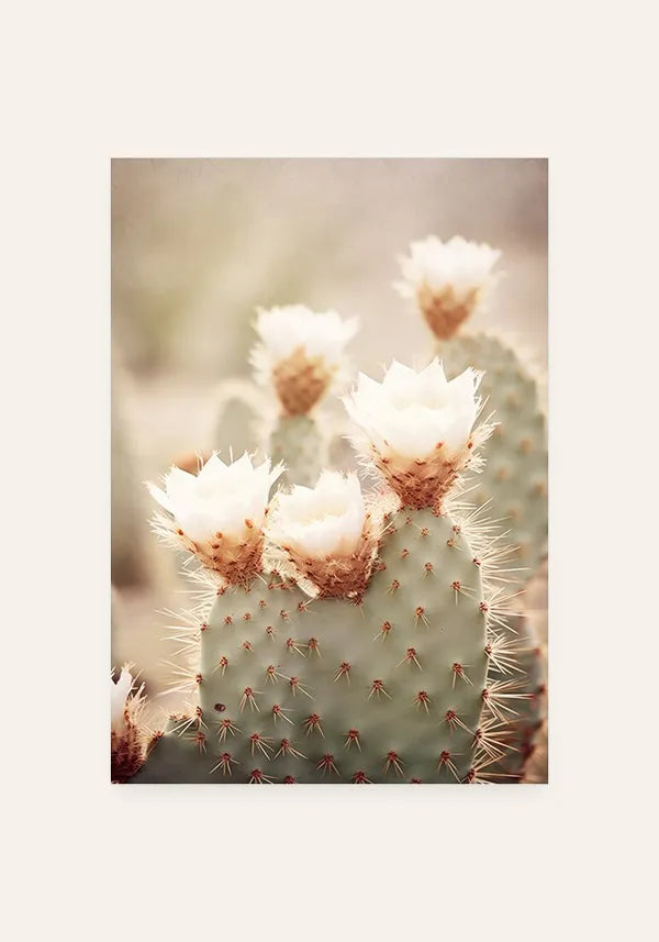 Quadro Cacto com Flor Vintage