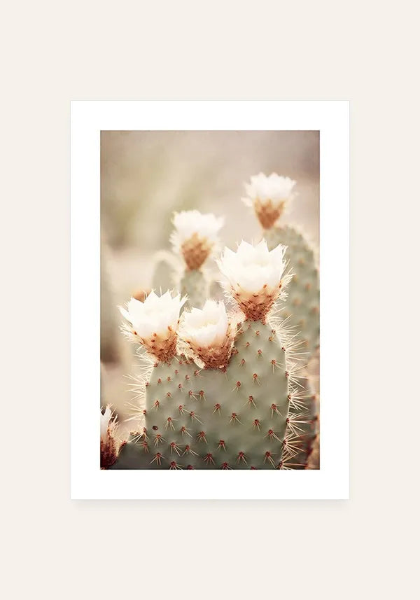 Quadro Cacto com Flor Vintage com Borda