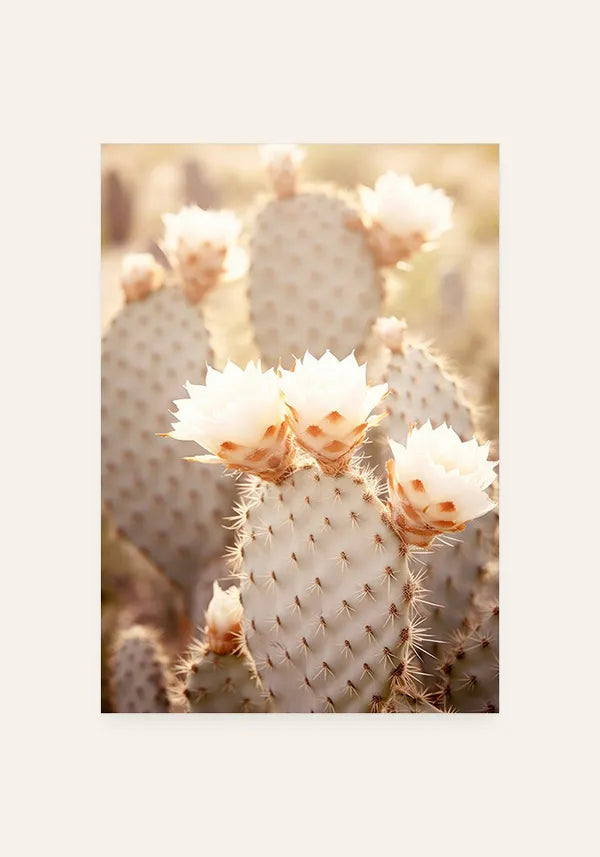 Quadro Cactos com Flores I