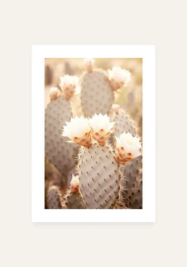 Quadro Cactos com Flores I com Borda