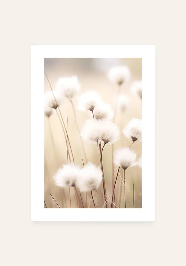 Quadro Decorativo Flores de Algodão I com Borda