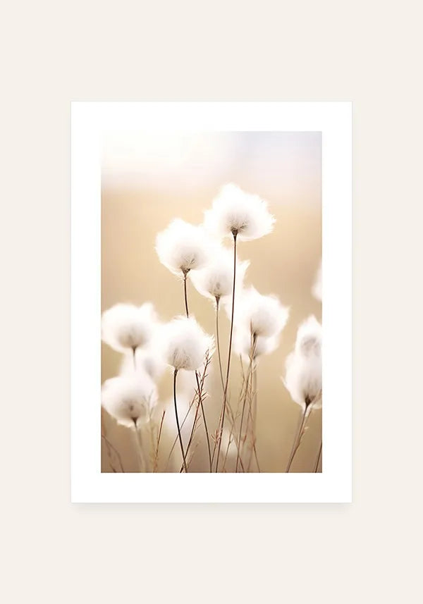 Quadro Decorativo Flores de Algodão II com Borda