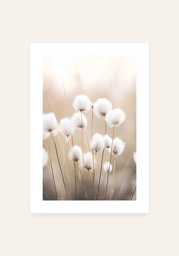 Quadro Flor de Algodão Vintage com Borda